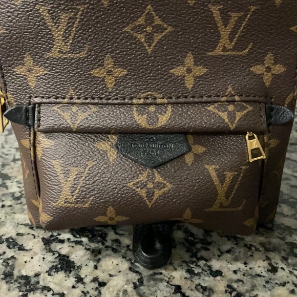 Authentic Louis Vuitton Palm Springs mini - Picture 3 of 16
